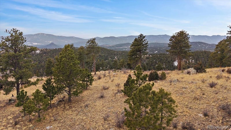33550 Mount Wilson Trl, Pine, CO 80470