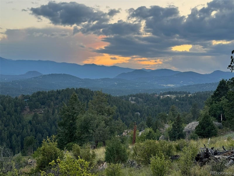 33550 Mount Wilson Trl, Pine, CO 80470