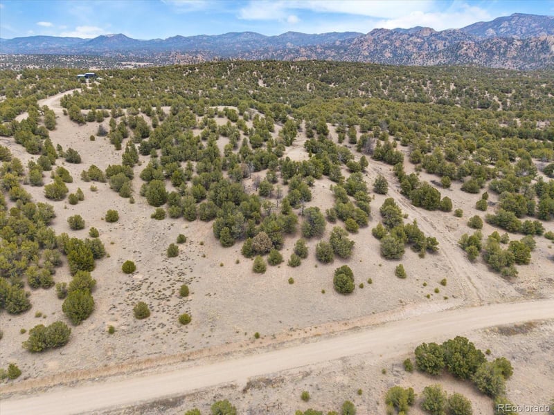 10292 Pioneer Tc, Nathrop, CO 81236