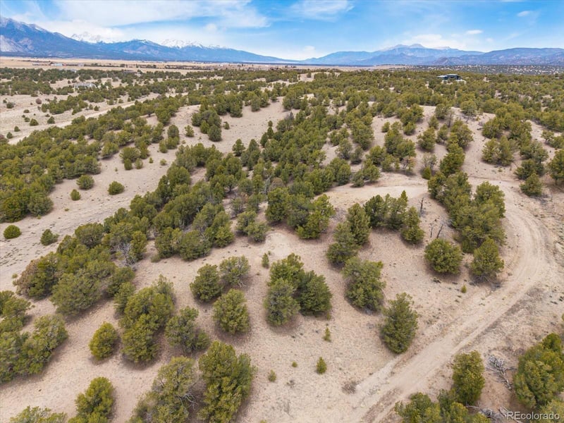 10292 Pioneer Tc, Nathrop, CO 81236