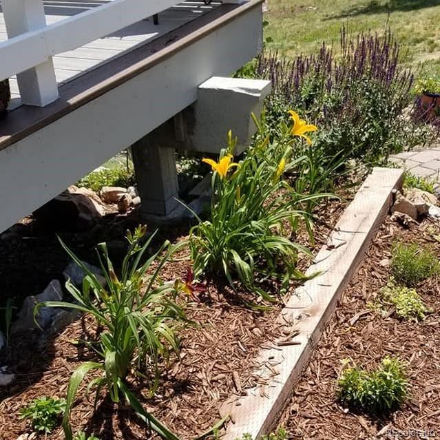 13892 Douglas Ranch Dr, Pine, CO 80470