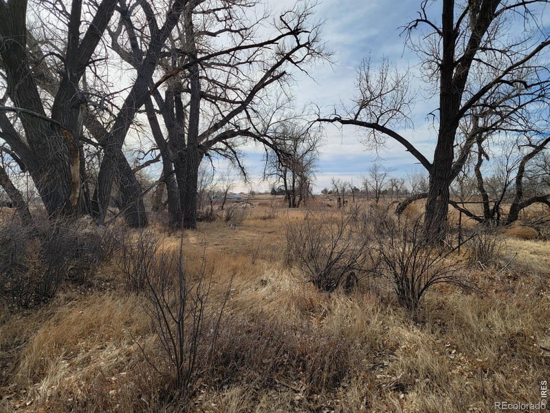 Tbd , Brush, CO 80723