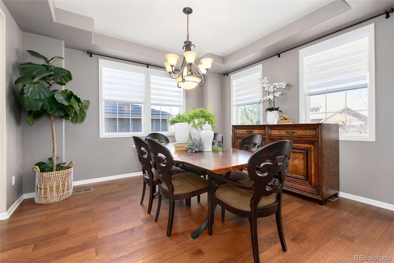 10480 Skyreach Rd, Highlands Ranch, CO 80126