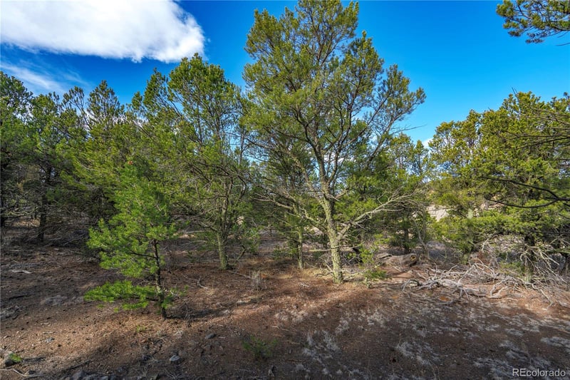 1382 Chinook Dr, Canon City, CO 81212