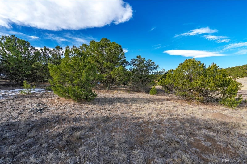 1382 Chinook Dr, Canon, CO 81212