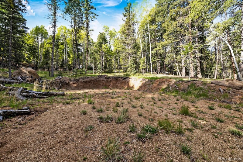 714 Will Stutley Dr, Divide, CO 80814