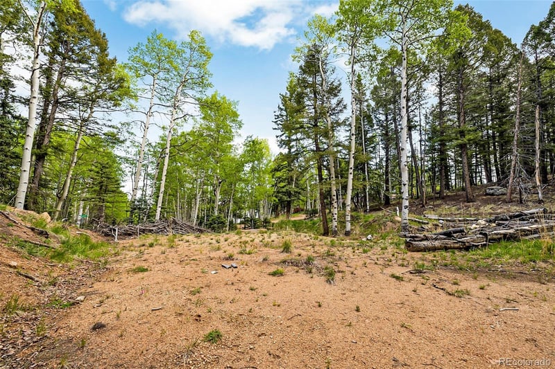 714 Will Stutley Dr, Divide, CO 80814