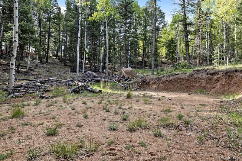 714 Will Stutley Dr, Divide, CO 80814