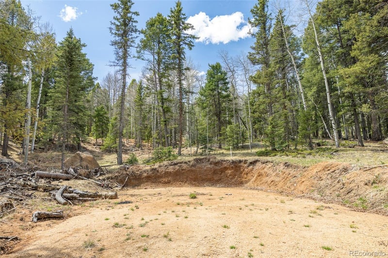 714 Will Stutley Dr, Divide, CO 80814