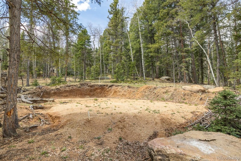 714 Will Stutley Dr, Divide, CO 80814