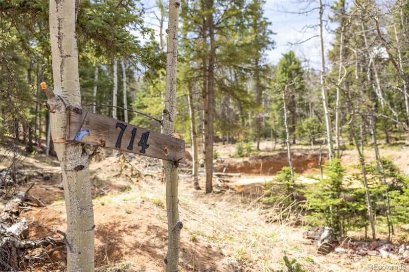 714 Will Stutley Dr, Divide, CO 80814