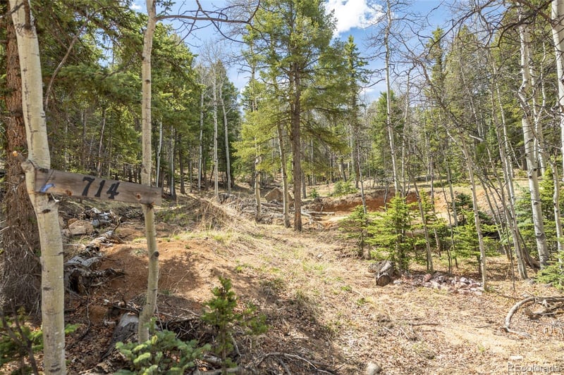 714 Will Stutley Dr, Divide, CO 80814