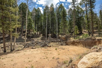 714 Will Stutley Dr, Divide, CO 80814