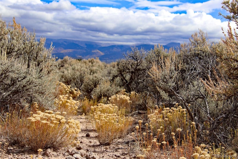 Wild Horse Dr, San Luis, CO 81152