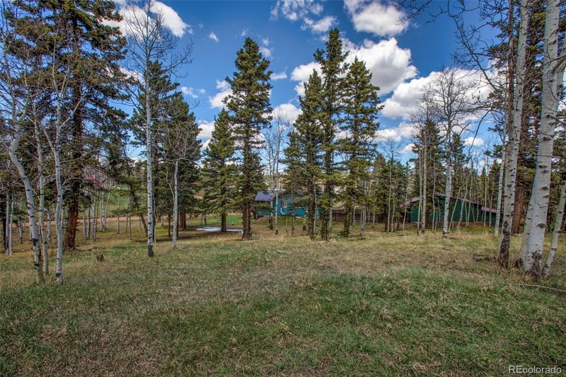 571 Will Scarlet Dr, Divide, CO 80814