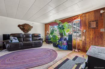 3384 Avenue F, Kittredge, CO 80457