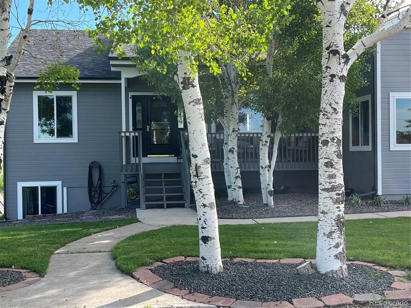 3447 Wild Rose Cir, Parker, CO 80138