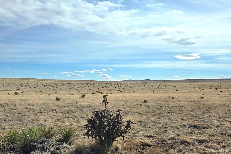 Tbd County Road 103, Walsenburg, CO 81089