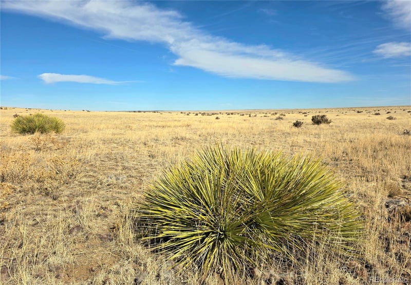 Tbd County Road 103, Walsenburg, CO 81089