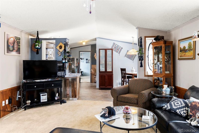 171 Star View Trl, Divide, CO 80814