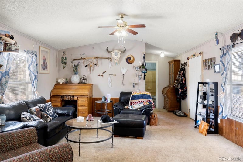 171 Star View Trl, Divide, CO 80814
