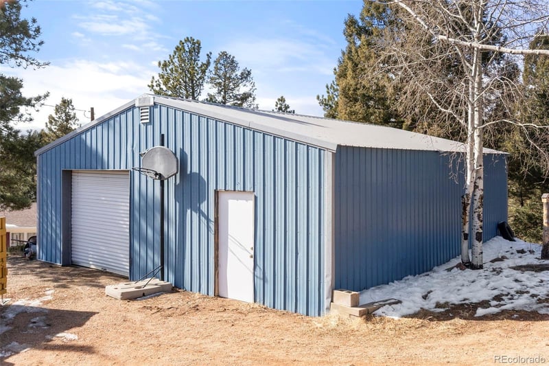 171 Star View Trl, Divide, CO 80814