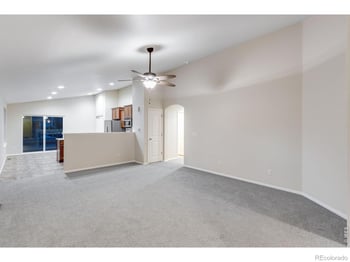 1554 Benfleet Ct, Windsor, CO 80550