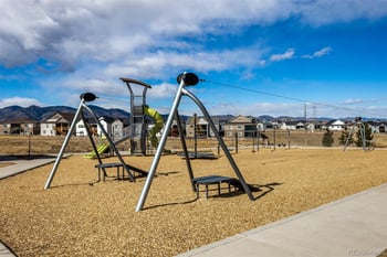 9781 Bennett Peak St, Littleton, CO 80125