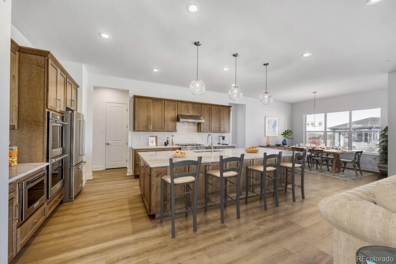 684 Leafy Aster Ln, Castle Rock, CO 80104