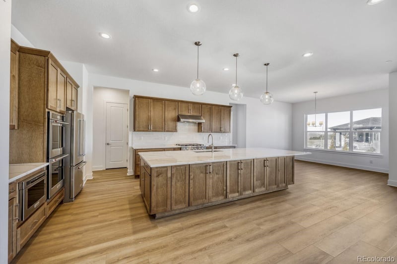 684 Leafy Aster Ln, Castle Rock, CO 80104