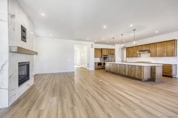 684 Leafy Aster Ln, Castle Rock, CO 80104