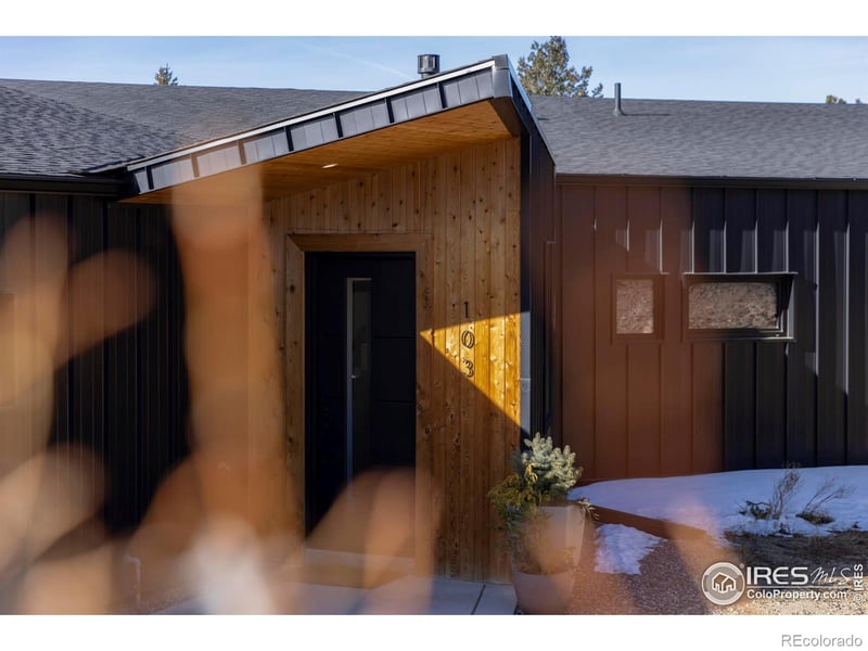 103 Wildewood Dr, Nederland, CO 80466