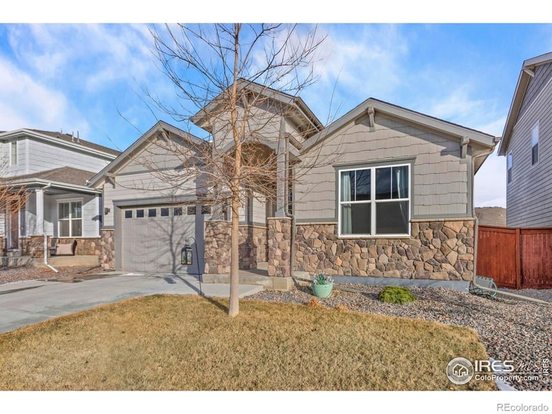 2093 Gather Ct, Windsor, CO 80550