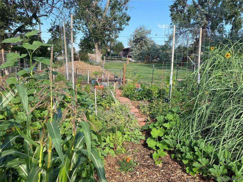 6404 Benton St, Arvada, CO 80003