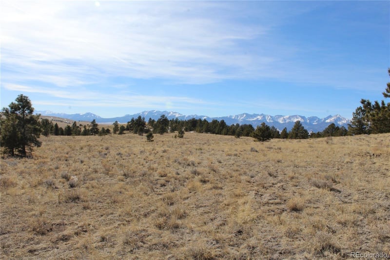 1615 Schulze Ranch Rd, Westcliffe, CO 81252