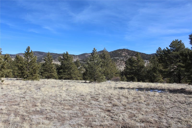 1615 Schulze Ranch Rd, Westcliffe, CO 81252
