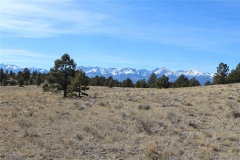 1615 Schulze Ranch Rd, Westcliffe, CO 81252