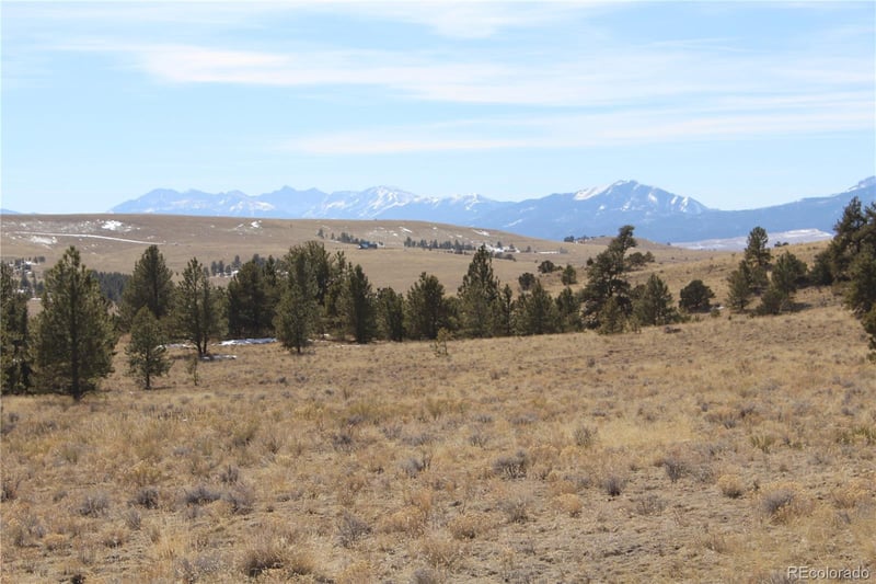 1615 Schulze Ranch Rd, Westcliffe, CO 81252