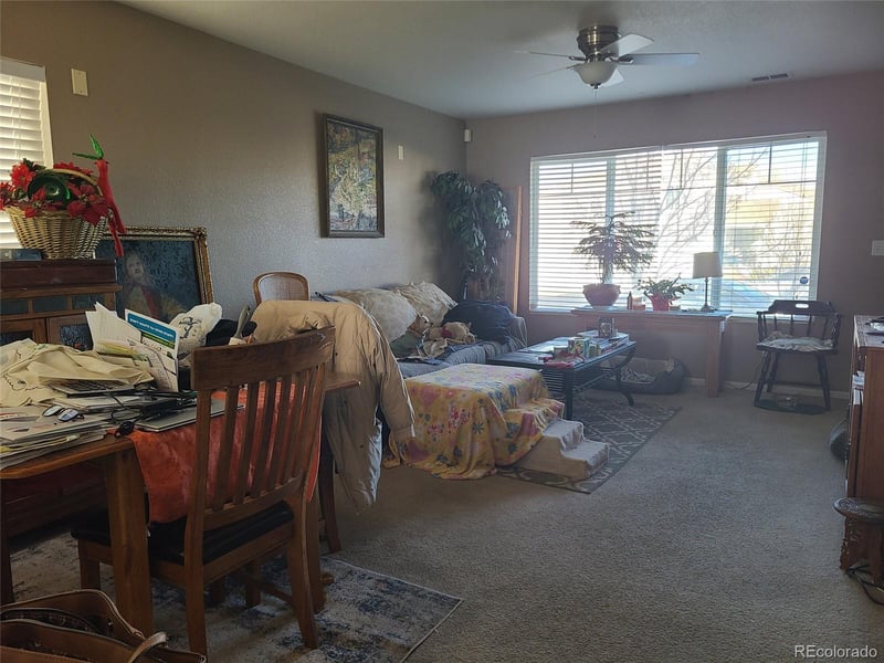 4315 Orleans St, Denver, CO 80249