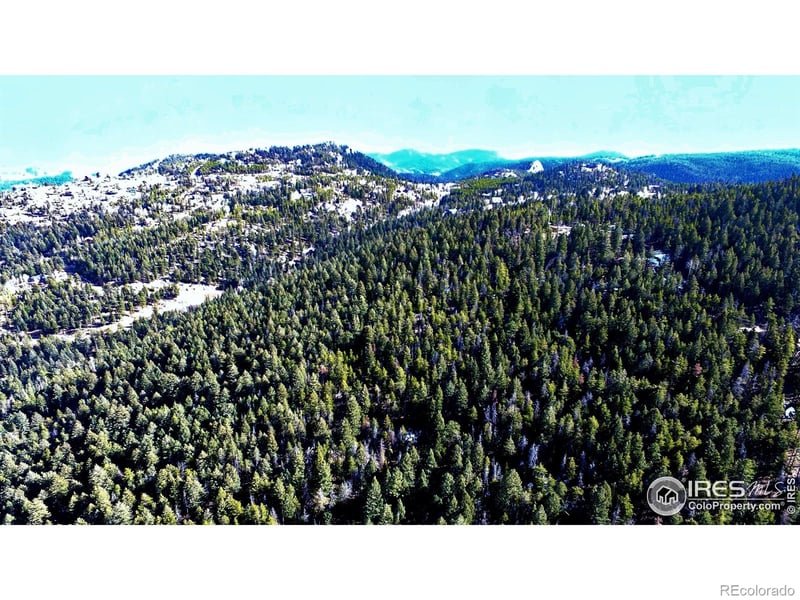 Snowy Trl, Conifer, CO 80433