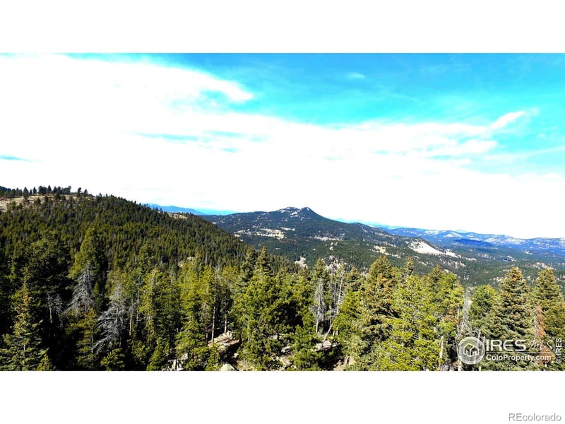 Snowy Trl, Conifer, CO 80433