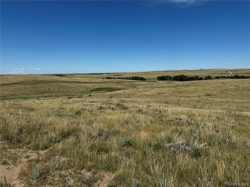 Lot 17 Happiness Trl Lot 17, Kiowa, CO 80117