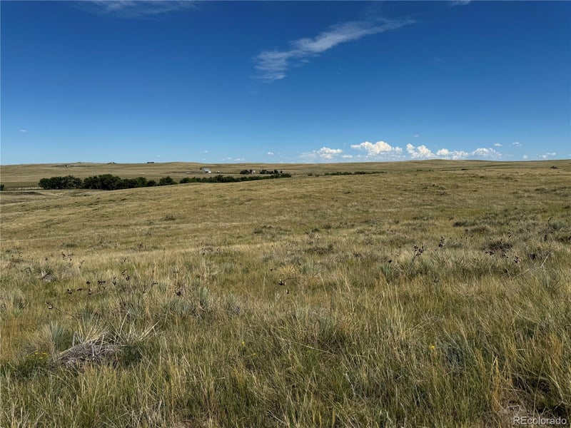 Lot 17 Happiness Trl Lot 17, Kiowa, CO 80117