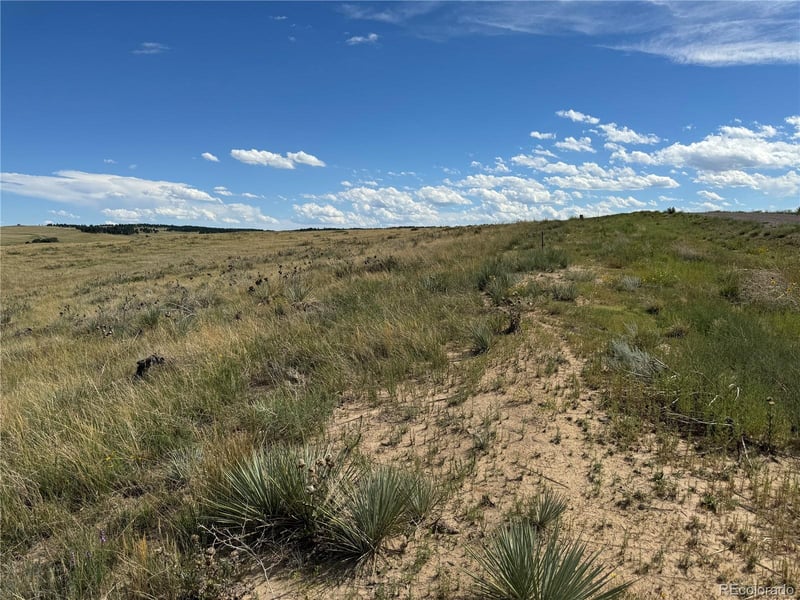 Lot 17 Happiness Trl Lot 17, Kiowa, CO 80117