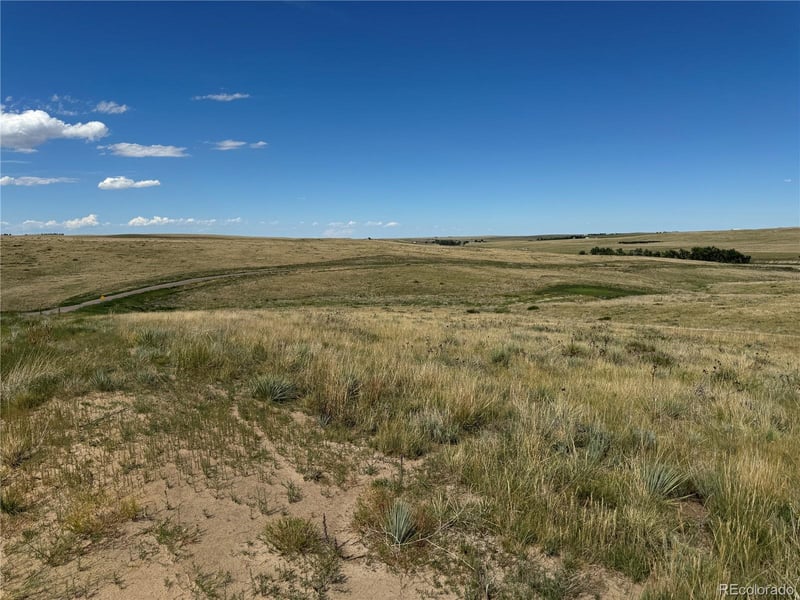 Lot 17 Happiness Trl Lot 17, Kiowa, CO 80117