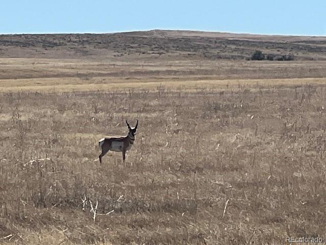Tbd Strasburg Rd, Strasburg, CO 80136