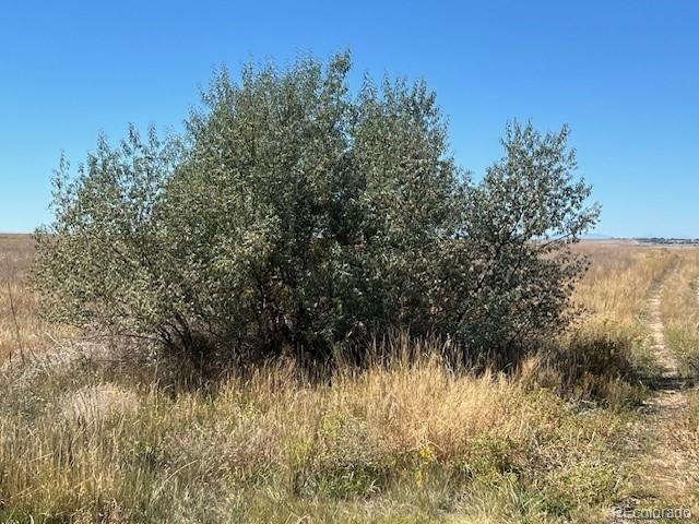 Tbd Strasburg Rd, Strasburg, CO 80136