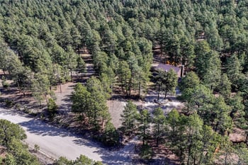 36424 Forest Trl, Elizabeth, CO 80107