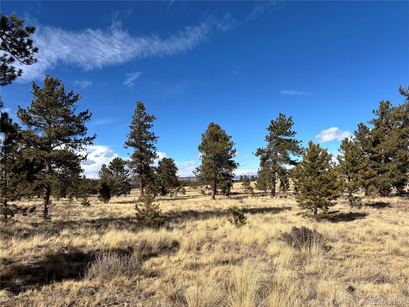 823 Windmill Dr, Hartsel, CO 80449
