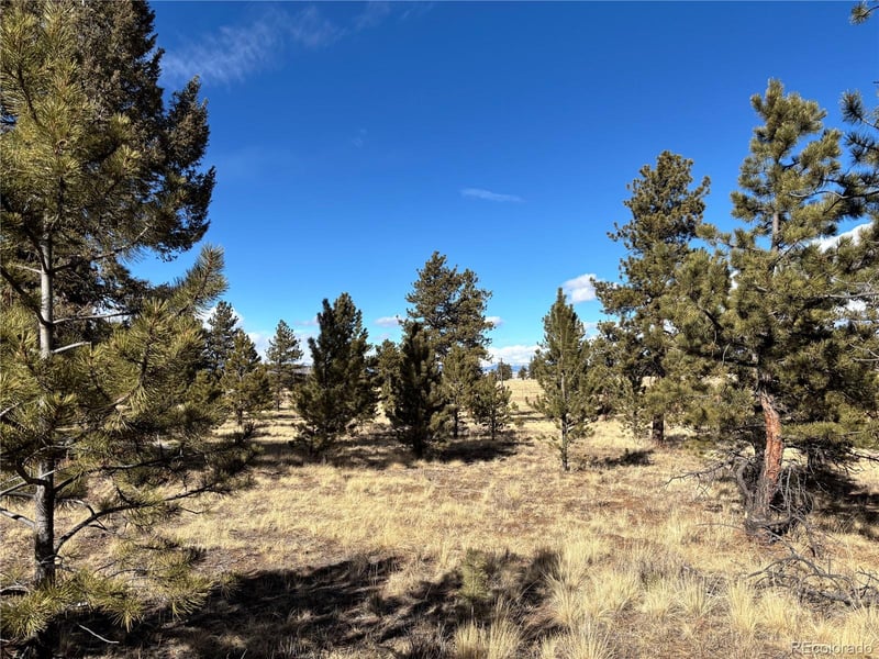 823 Windmill Dr, Hartsel, CO 80449